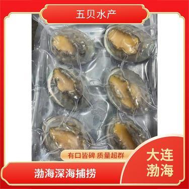 海鮮市場活蝦價格解析