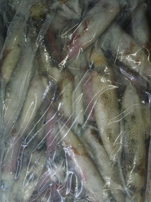 北部灣名貴海產(chǎn)鑒賞 從馬頭魚(yú)到深海蝦仁的冰鮮之美