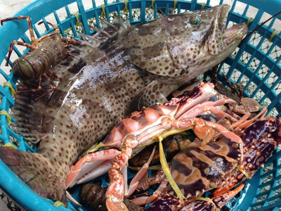 探海鮮萬(wàn)山 | 海鮮美食節(jié)探鮮團(tuán)招募，免費(fèi)吃喝玩樂(lè)等你來(lái)！