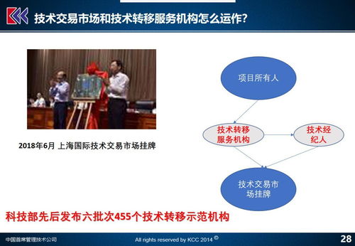 科技企業改革的基石 聚焦四大領域，解析九大議題（上）——科技中介服務的轉型與賦能
